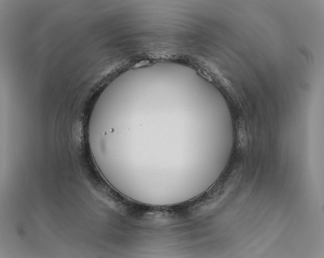 X0000111790211200908061144