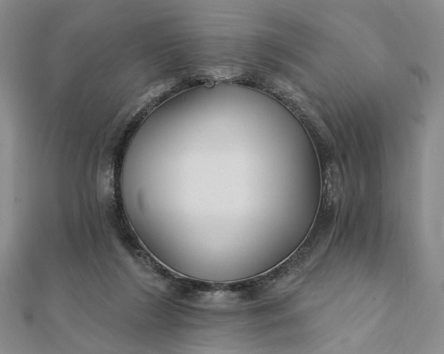 X0000111790212200908061144