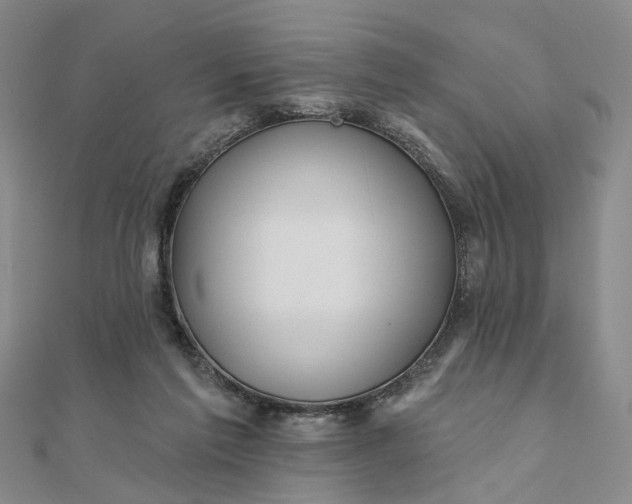 X0000111790213200908061144