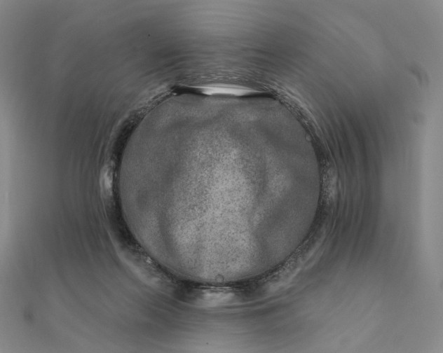 X0000111790214200908061144