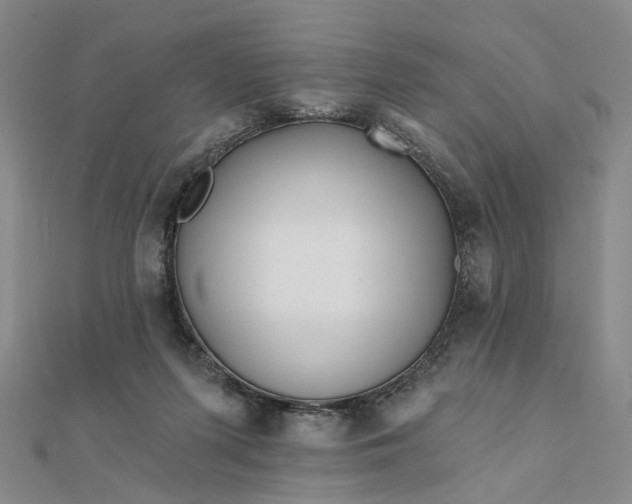 X0000111790215200908061144