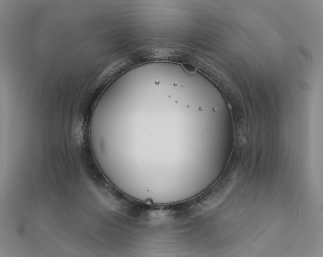 X0000111790216200908061144