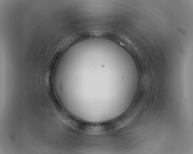 X0000111790217200908061144