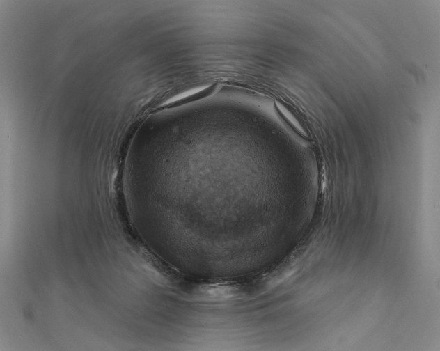 X0000111790219200908061144