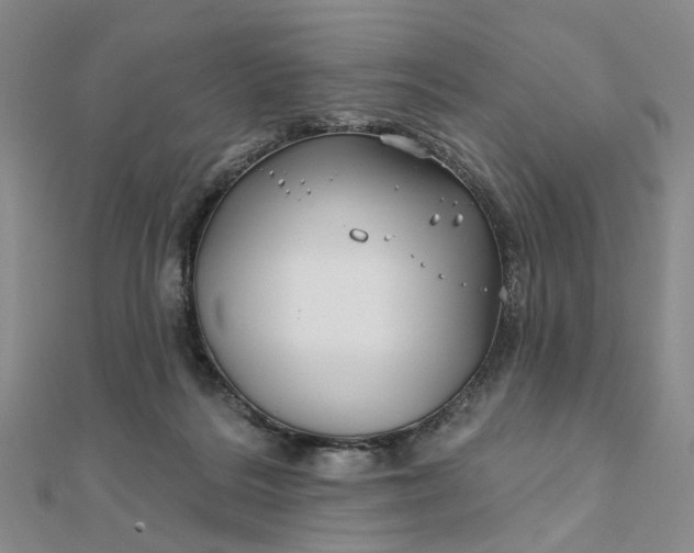 X0000111790220200908061143