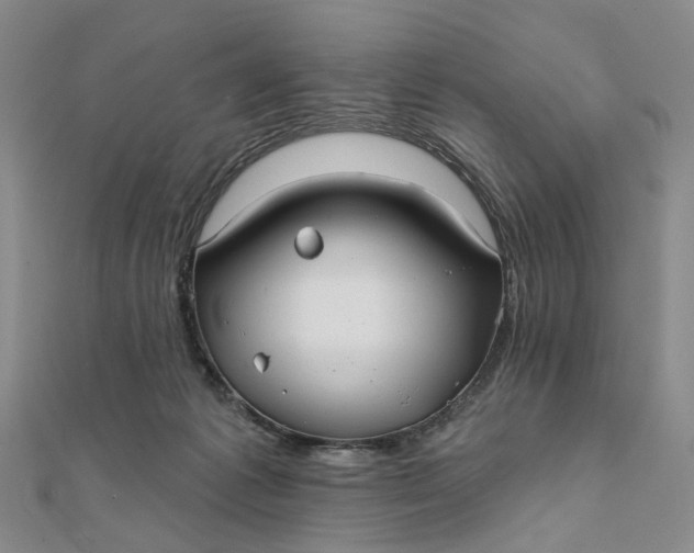 X0000111790221200908061143