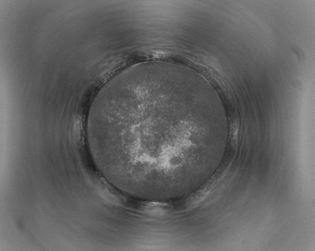 X0000111790222200908061143