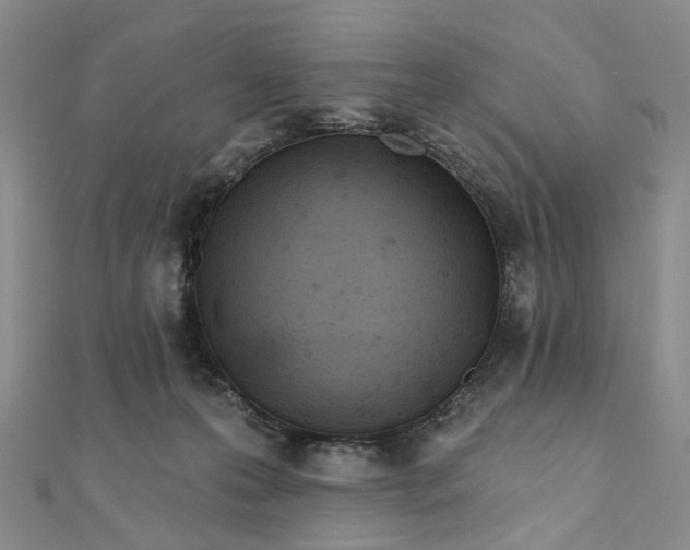 X0000111790223200908061143