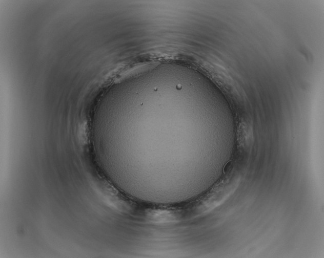 X0000111790224200908061143