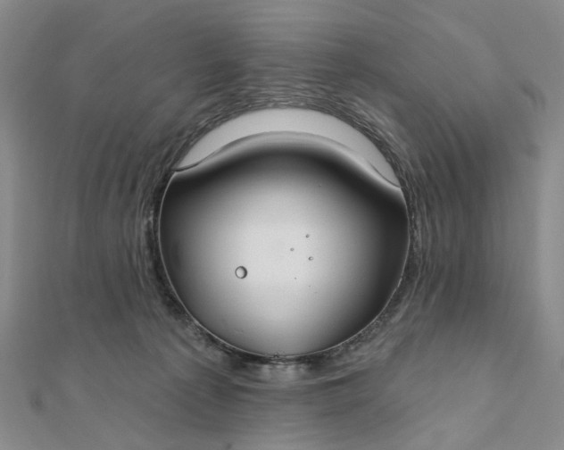 X0000111790225200908061143