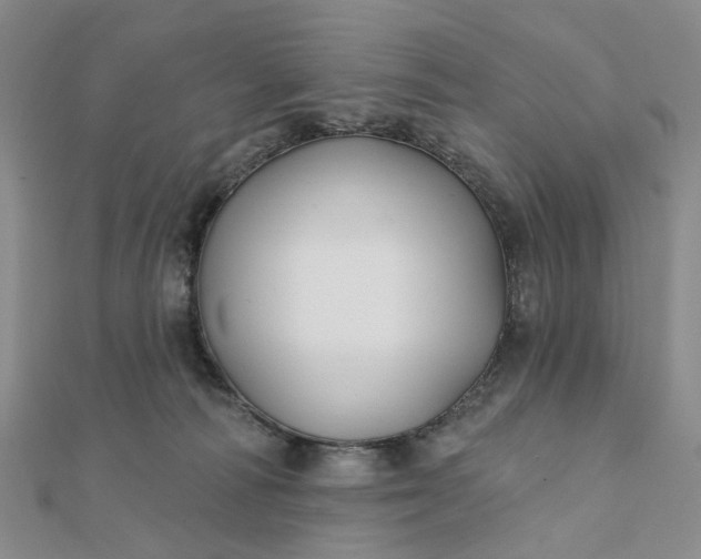 X0000111790226200908061143