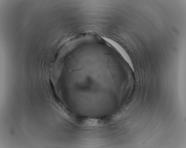 X0000111790227200908061143