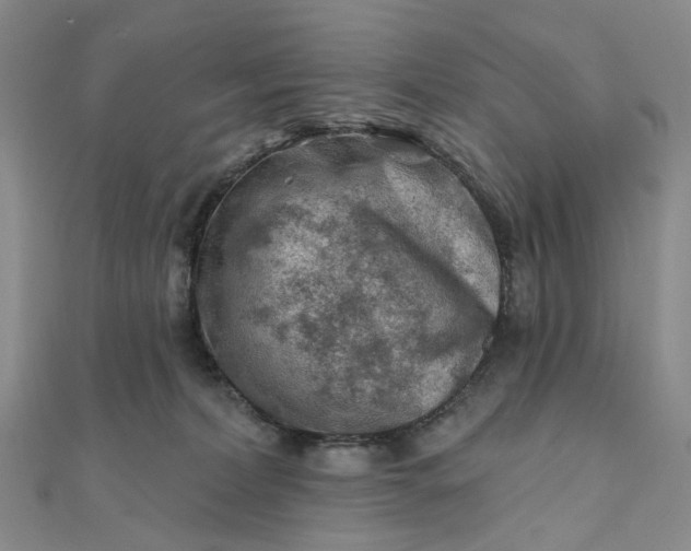 X0000111790228200908061143