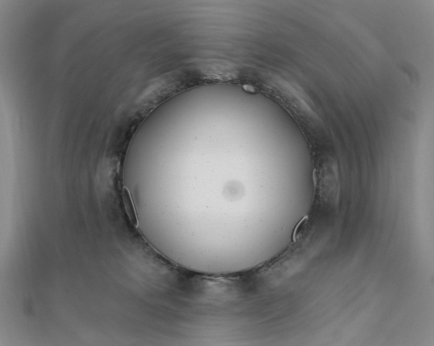 X0000111790229200908061143