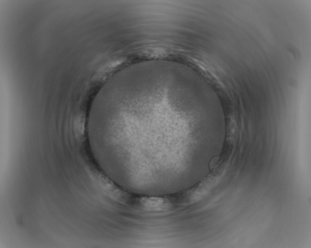 X0000111790230200908061143