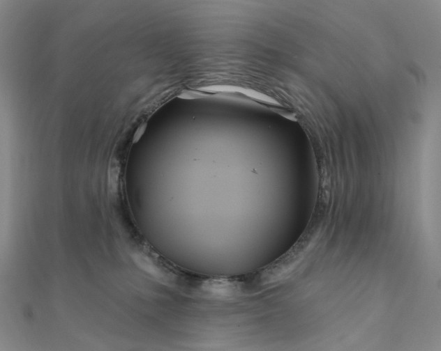 X0000111790231200908061143