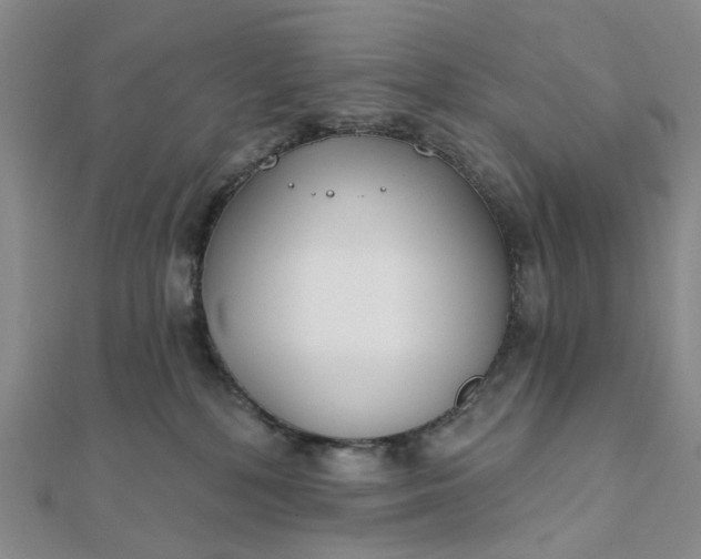 X0000111790232200908061143