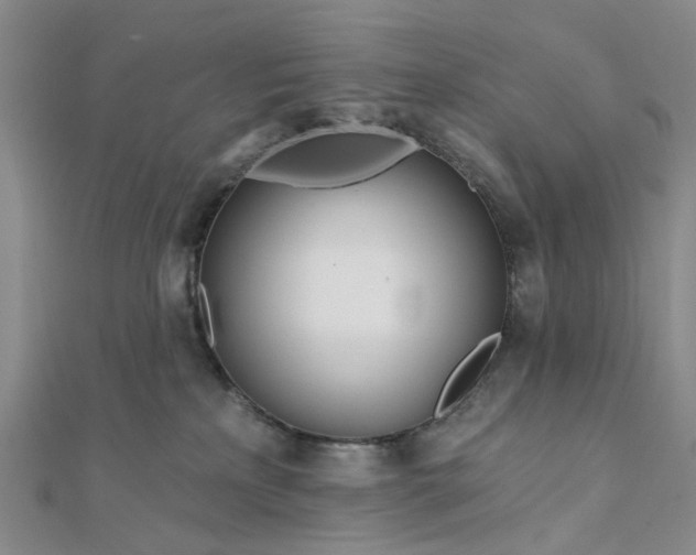 X0000111790233200908061143