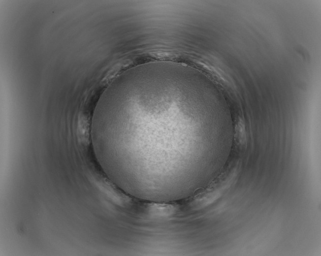 X0000111790234200908061143