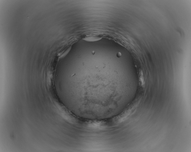 X0000111790235200908061143