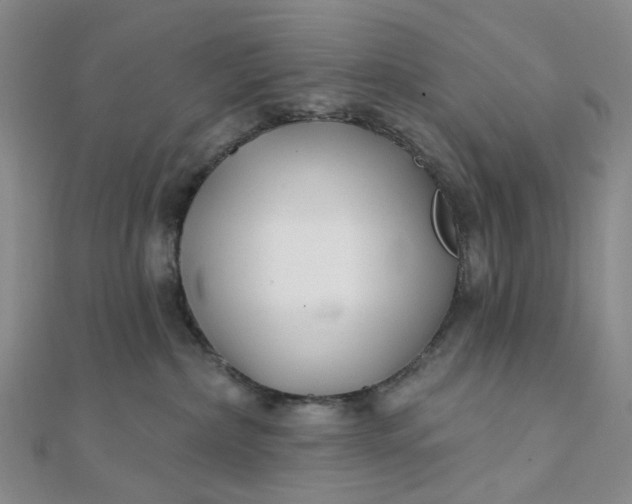 X0000111790236200908061143