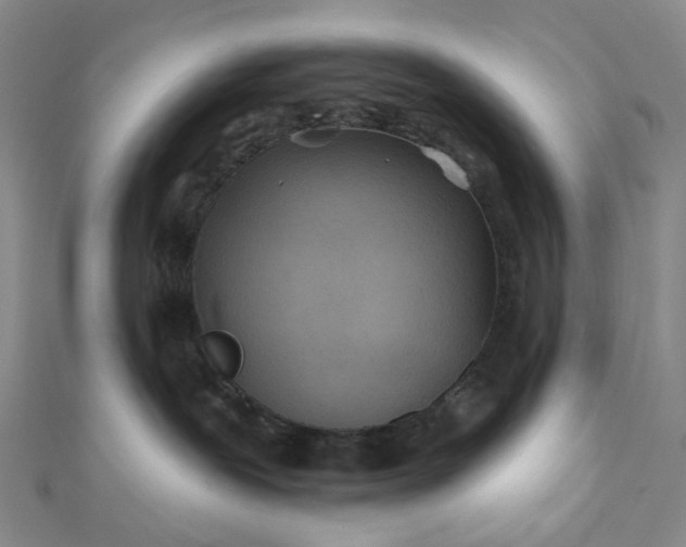 X0000111790239200908061143