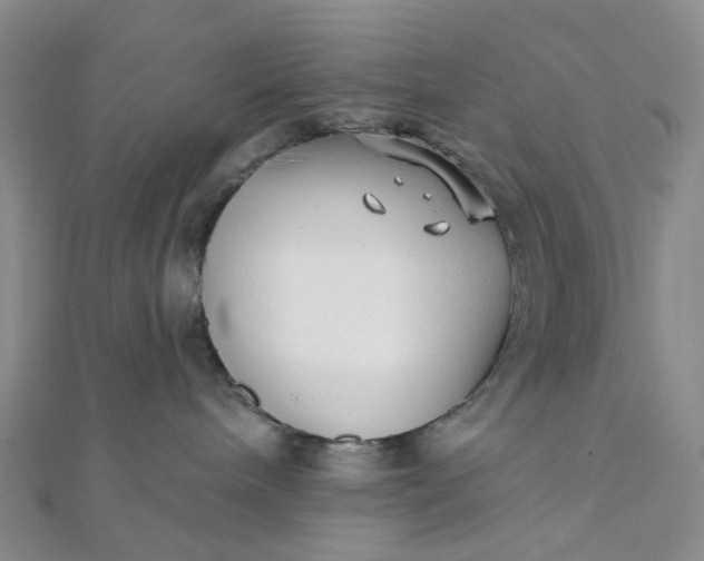 X0000111790240200908061143