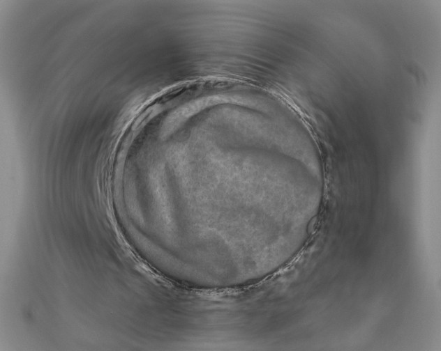 X0000111790241200908061142