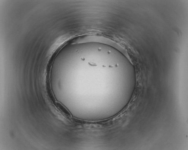 X0000111790242200908061142