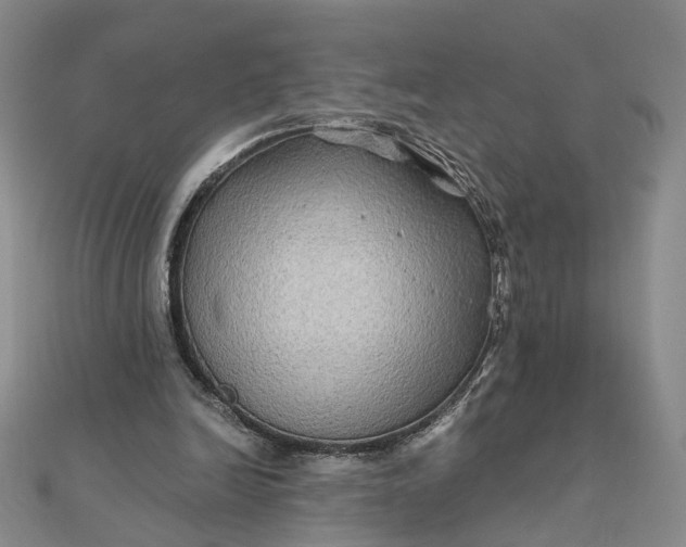 X0000111790246200908061143