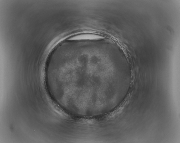 X0000111790247200908061143