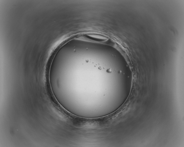 X0000111790248200908061143