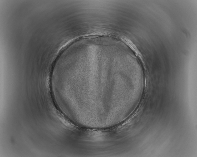 X0000111790249200908061143