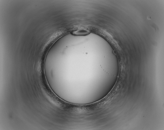 X0000111790250200908061143