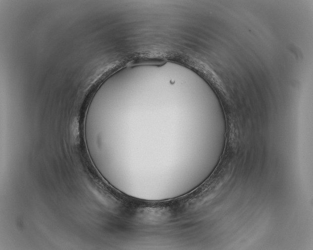 X0000111790251200908061143