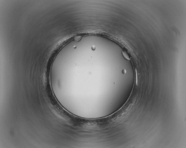 X0000111790252200908061143