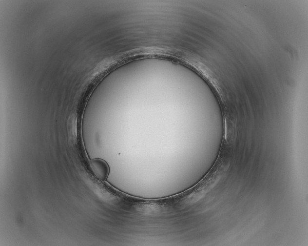 X0000111790253200908061143