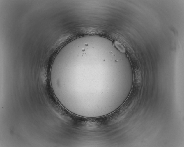 X0000111790255200908061143