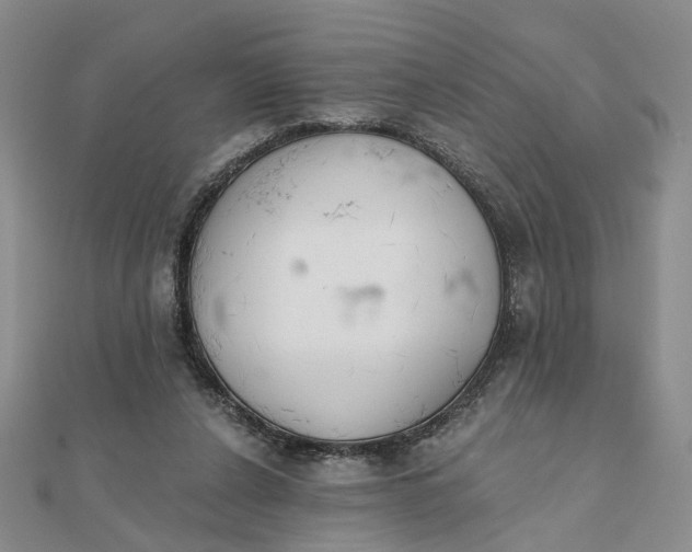 X0000111790256200908061143