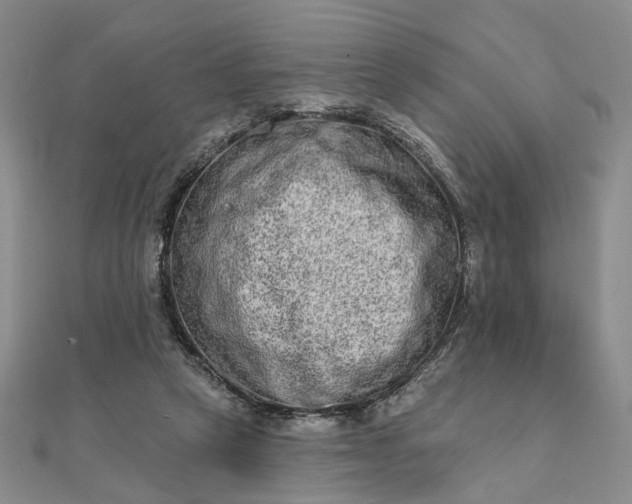 X0000111790257200908061143