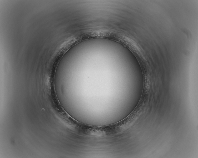 X0000111790258200908061143