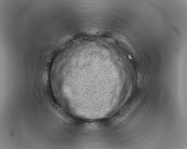 X0000111790259200908061143