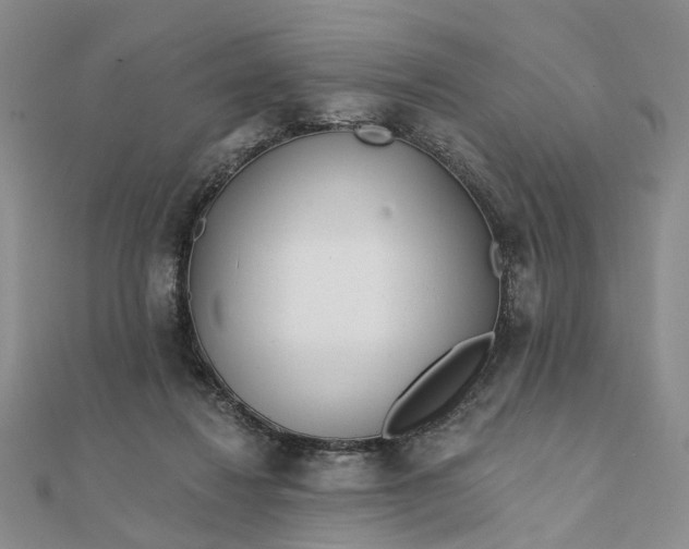 X0000111790260200908061143