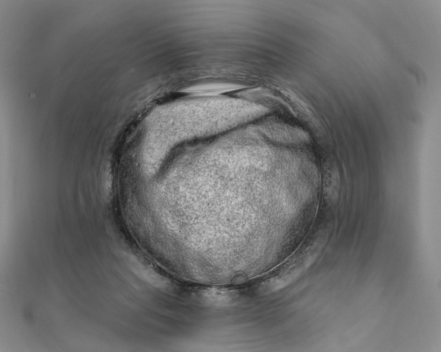 X0000111790261200908061143