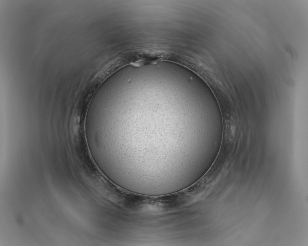 X0000111790263200908061143