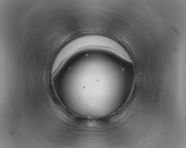 X0000111790264200908061143