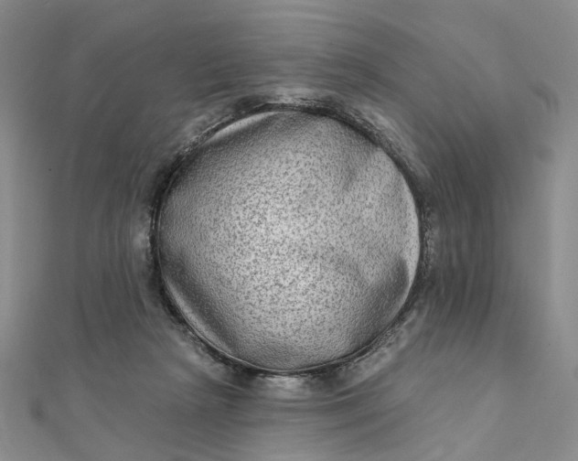 X0000111790265200908061143