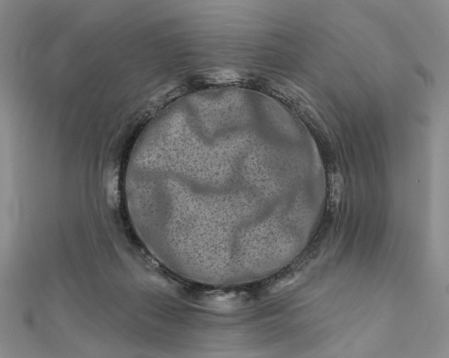 X0000111790267200908061143