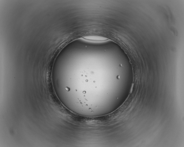 X0000111790268200908061143