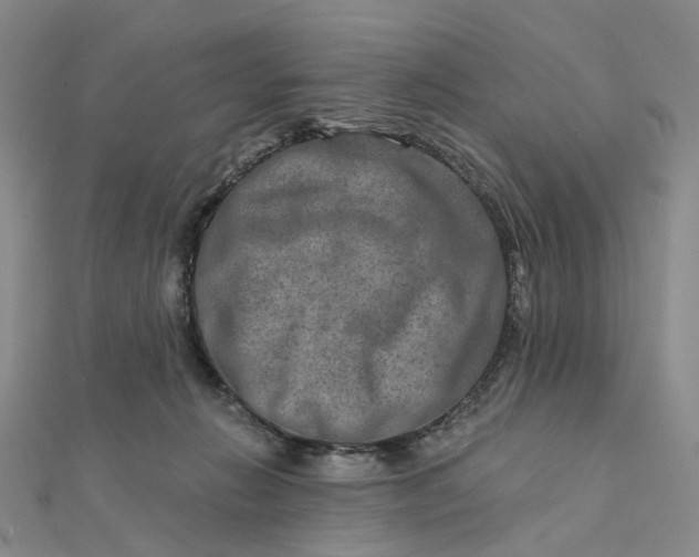 X0000111790270200908061143